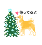 秋田犬♥️クリスマス（個別スタンプ：3）