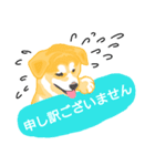 秋田犬♥️クリスマス（個別スタンプ：16）