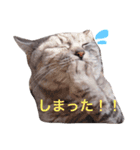 マリリンライフ（個別スタンプ：10）
