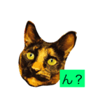 由美の猫と江美の犬（個別スタンプ：1）