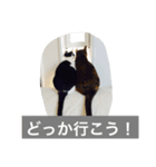 由美の猫と江美の犬（個別スタンプ：4）