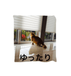 由美の猫と江美の犬（個別スタンプ：5）