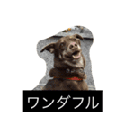 由美の猫と江美の犬（個別スタンプ：8）
