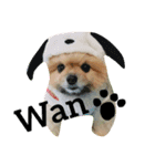 今日のてぃんくたん（個別スタンプ：8）