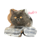 Leelee74（個別スタンプ：6）