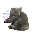 Leelee74（個別スタンプ：12）