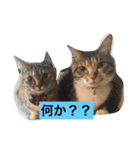りんご123（個別スタンプ：3）