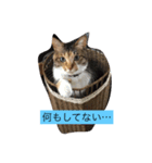 りんご123（個別スタンプ：4）