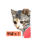 りんご123（個別スタンプ：8）