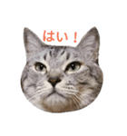 NEITO.2（個別スタンプ：1）