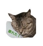 NEITO.2（個別スタンプ：3）