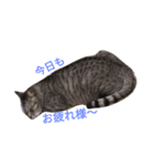 NEITO.2（個別スタンプ：5）