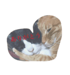sabukota2（個別スタンプ：7）