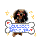 2018-Karin-stamp（個別スタンプ：3）