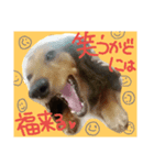 2018-Karin-stamp（個別スタンプ：4）