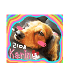 2018-Karin-stamp（個別スタンプ：5）