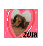 2018-Karin-stamp（個別スタンプ：6）