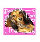 2018-Karin-stamp（個別スタンプ：7）