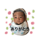 joji linestamp（個別スタンプ：11）
