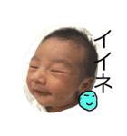 joji linestamp（個別スタンプ：29）