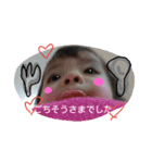 my princess ry 2（個別スタンプ：2）