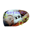 my princess ry 2（個別スタンプ：5）