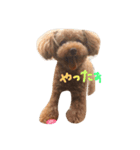 ぼくは、ぜんです。。。3（個別スタンプ：1）
