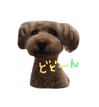 ぼくは、ぜんです。。。3（個別スタンプ：6）
