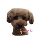 ぼくは、ぜんです。。。3（個別スタンプ：8）