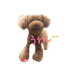 ぼくは、ぜんです。。2（個別スタンプ：1）