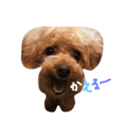 ぼくは、ぜんです。。2（個別スタンプ：6）