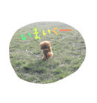 ぼくは、ぜんです。。2（個別スタンプ：7）
