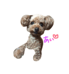 ぼくは、ぜんです。。2（個別スタンプ：8）
