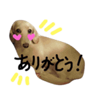 Lovely dog kanna1（個別スタンプ：9）