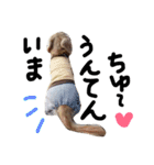 Lovely dog kanna1（個別スタンプ：21）