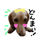 Lovely dog kanna1（個別スタンプ：28）