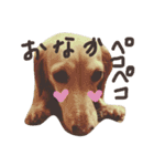 Lovely dog kanna1（個別スタンプ：35）