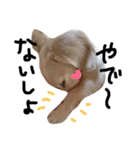 Lovely dog kanna1（個別スタンプ：36）
