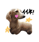 Lovely dog kanna1（個別スタンプ：40）