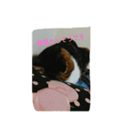 miinana（個別スタンプ：1）