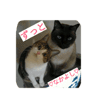 miinana（個別スタンプ：3）