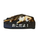 miinana（個別スタンプ：5）