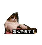 miinana（個別スタンプ：8）