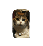 miinana（個別スタンプ：9）