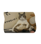 miinana（個別スタンプ：11）