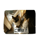 miinana（個別スタンプ：17）