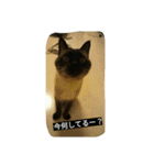miinana（個別スタンプ：19）