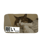 miinana（個別スタンプ：23）