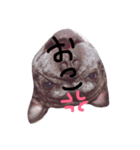 でんちゃんだよ！（個別スタンプ：2）