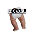 ryoma.nanakagetsu（個別スタンプ：1）